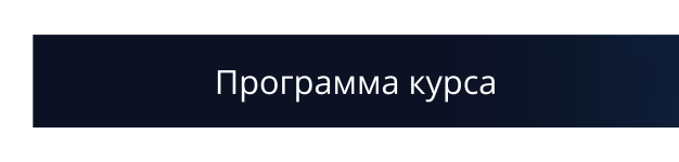 Программа курса (1).png