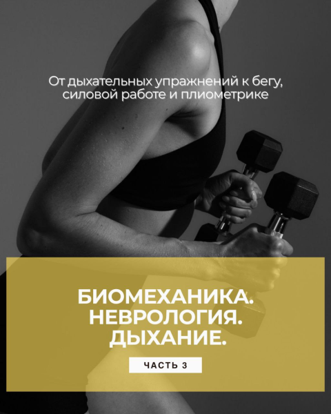 Изображение [Александр Волоткевич] Биомеханика и неврология дыхания. Часть 3 (2025)