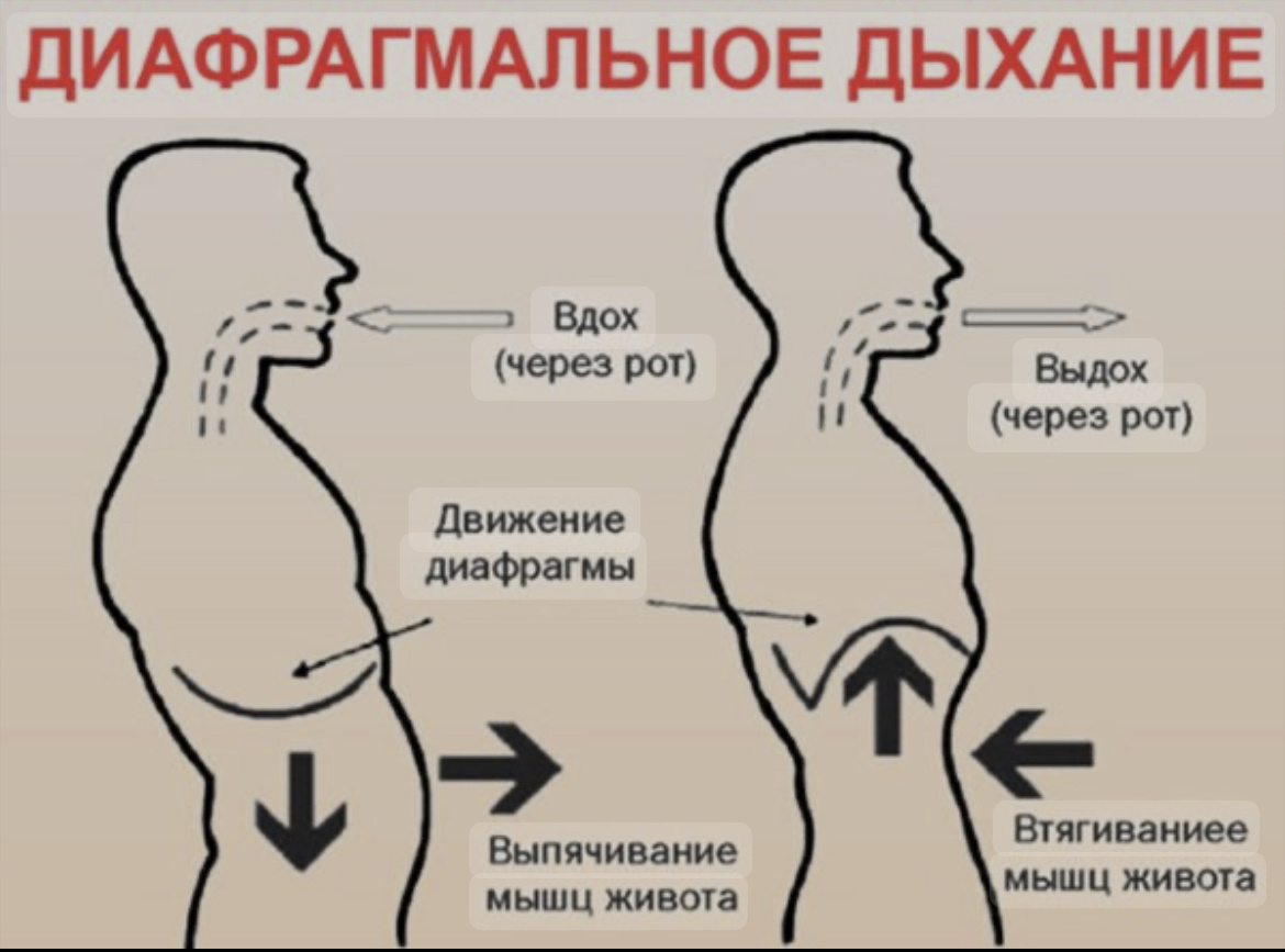 Изображение [Екатерина Федорова] Диафрагмальное дыхание. 3 поток (2022)